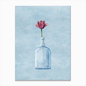 Tulip In A Bottle Canvas Print