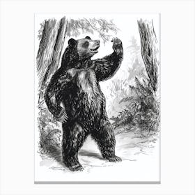 Malayan Sun Bear Dancing The Woods Ink Illustration 3 Canvas Print