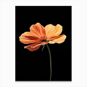 Single Orange Flower 13 Canvas Print