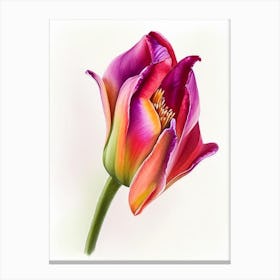 Tulip Wildflower Watercolour Canvas Print
