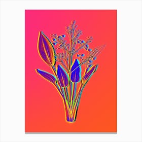 Neon European Water Plantain Botanical in Hot Pink and Electric Blue n.0229 Canvas Print