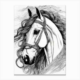 Horse Drawing Canvas Print