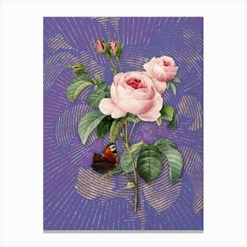 Vintage Provence Rose Botanical Illustration on Veri Peri n.0655 Canvas Print