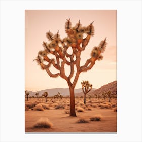  Photograph Of A Joshua Trees At Dusk In Desert 4 Canvas Print