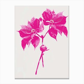Hot Pink Poinsettia 1 Canvas Print