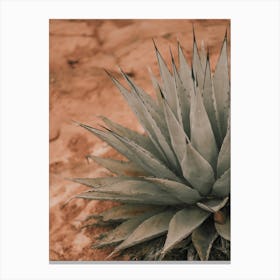 Agave In Sedona Canvas Print