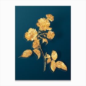 Vintage Red Cabbage Rose in Bloom Botanical in Gold on Teal Blue n.0044 Canvas Print