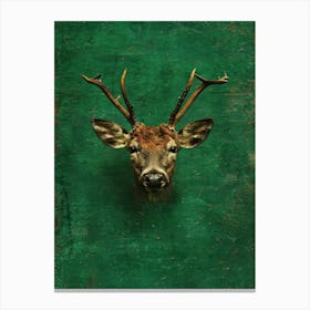 Deer Head 15 Canvas Print