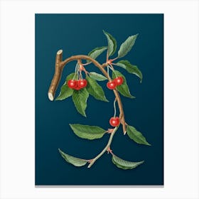 Vintage Cherry Botanical Art on Teal Blue n.0513 Canvas Print