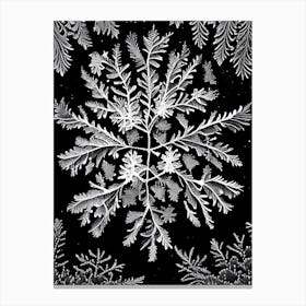 Fernlike Stellar Dendrites, Snowflakes, Linocut Canvas Print