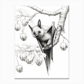 Botanical Illustration Fruit Bat 1 Canvas Print