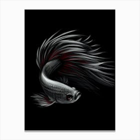 Siamese Fighting Fish Canvas Print