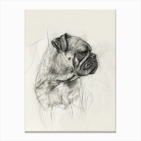 Pug Dog Charcoal Line Canvas Print