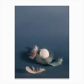 Easter Egg In A Nest Canvas Print