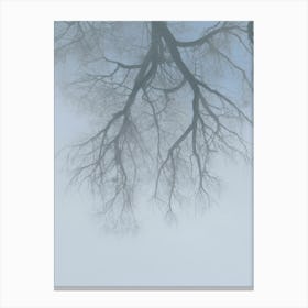 Winter. A Branching Tree In The Fog. Canvas Print