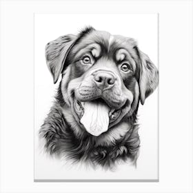 Rottweiler Dog, Line Drawing 3 Canvas Print