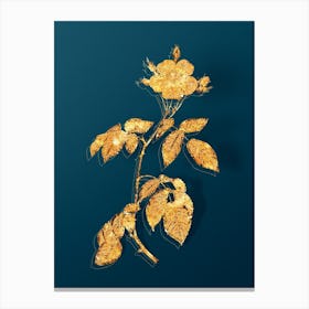 Vintage Big Leaved Climbing Rose Botanical in Gold on Teal Blue Canvas Print