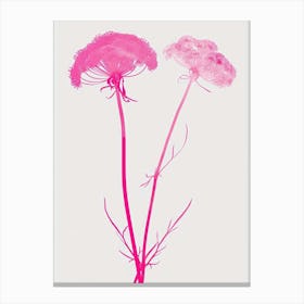 Hot Pink Queen Annes Lace 2 Canvas Print