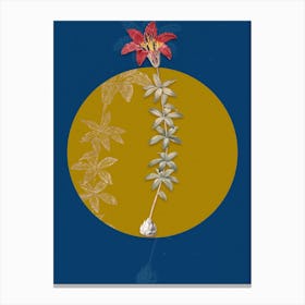Vintage Botanical Wood Lily on Circle Yellow on Blue Canvas Print