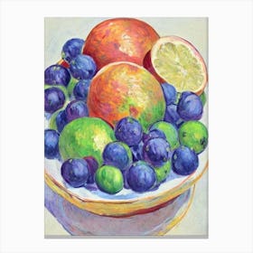Grapefruit Vintage Sketch Fruit Canvas Print