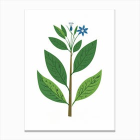 Lily Of The Valley 74 Canvas Print