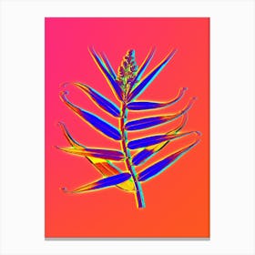 Neon Bush Cane Botanical in Hot Pink and Electric Blue n.0014 Canvas Print