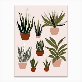 Potted Plants 13 Canvas Print