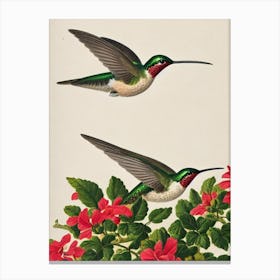 Hummingbird James Audubon Vintage Style Bird Canvas Print