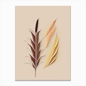 Corn Silk Spices And Herbs Retro Minimal 3 Canvas Print