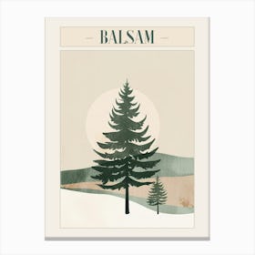 Balsam Tree Minimal Japandi Illustration 4 Poster Canvas Print