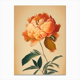 Single Stem Of Peony Orange 3 Vintage Sketch Canvas Print