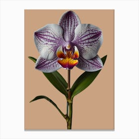 Orchid Flower Canvas Print