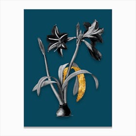 Vintage Brazilian Amaryllis Black and White Gold Leaf Floral Art on Teal Blue n.0875 Canvas Print