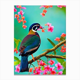 Wood Duck 1 Tropical bird Canvas Print
