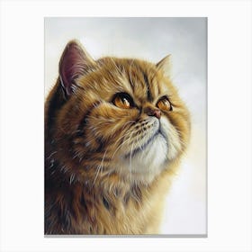 Exotic Shortrhair Cat Painting 4 Canvas Print