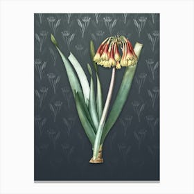 Vintage Knysna Lily Botanical on Slate Gray Pattern n.1463 Canvas Print