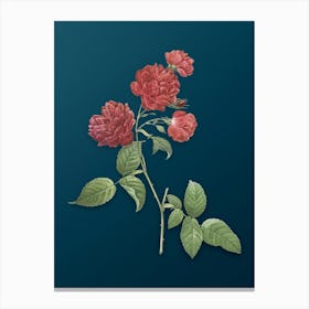 Vintage Red Cabbage Rose in Bloom Botanical Art on Teal Blue n.0448 Canvas Print