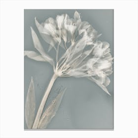 Ethereal I Canvas Print