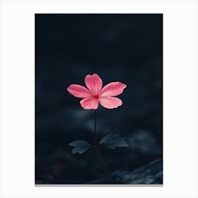 Pink Flower In Water 1 Canvas Print