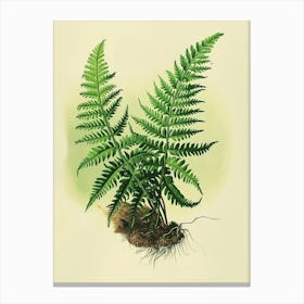 Vintage Illustration Upside Down Fern 2 Canvas Print