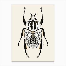 Black And White Beetle Canvas Print