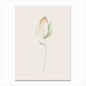 Tulip Leaf Minimalist Watercolour 1 Canvas Print