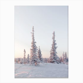 Arctic Forest Canvas Print