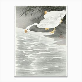 Geese On The Shore (1900 1930), Ohara Koson Canvas Print