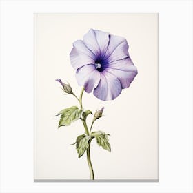 Pressed Flower Botanical Art Petunia 1 Canvas Print
