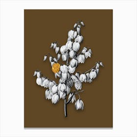 Vintage Aloe Yucca Black and White Gold Leaf Floral Art on Coffee Brown Canvas Print