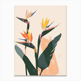 Bird Of Paradise Plant Minimalist Illustration 3 Canvas Print
