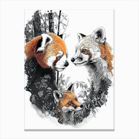 Red Panda And A Fox Ink Illustration 1 Canvas Print