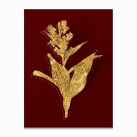 Vintage False Helleborine Botanical in Gold on Red n.0365 Canvas Print