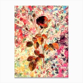 Impressionist Provence Rose Botanical Painting in Blush Pink and Gold n.0028 Canvas Print